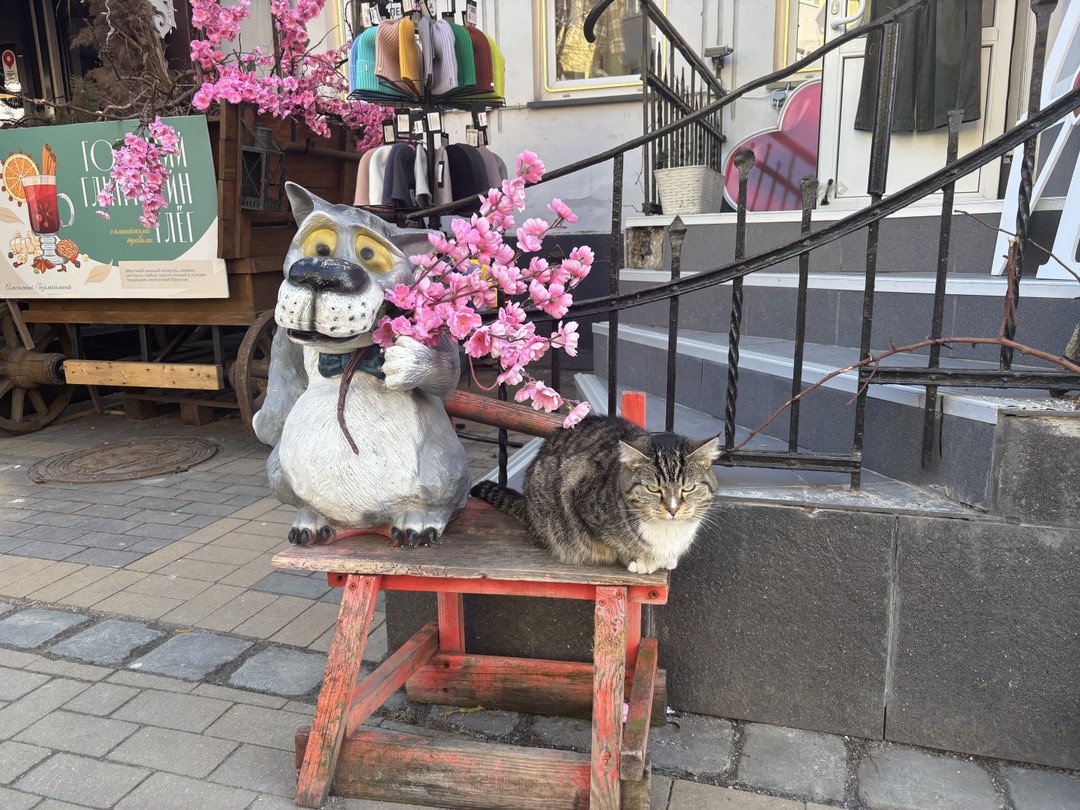 Утренняя Куршская коса, Зеленоградск и замок Нессельбек на автобусе (Оксана)