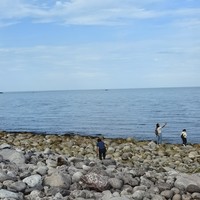 Фото отзыва 4: экскурсия "В Териберку — на поиски китов"