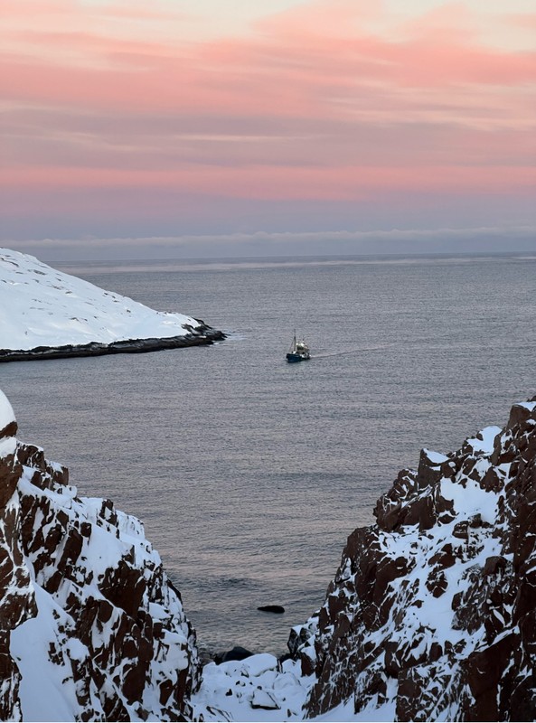 Виды Териберка за 1 день: посёлок, китовое сафари и дегустация морепродуктов