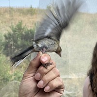 Фото отзыва 3: экскурсия "Волшебная Куршская коса"