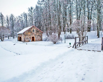 По местам великого поэта