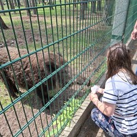 Фото отзыва 5: экскурсия "Красота Брестской земли: Беловежская пуща и не только за 2 дня"