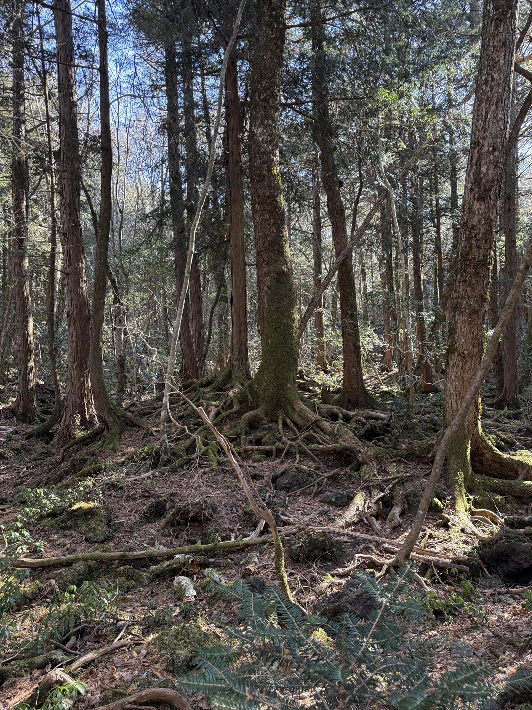 Хочется выразить огромную благодарность за чудесную поездку! Безумно понравилась экскурсия и гид Татьяна! Остались невероятно довольны всей семьей☺️