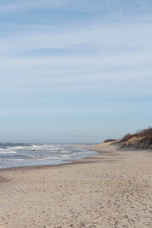 Виды Куршская коса: земля древних куршей и великанши Неринги (из Калининграда)