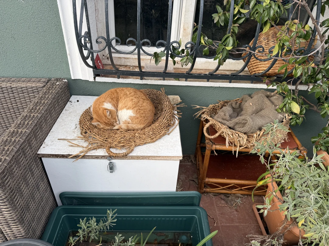 Нам очень понравилась эта экскурсия и экскурсовод Ясмина. Действительно это нетипичные места в Стамбуле в которые не попасть массовому туристу