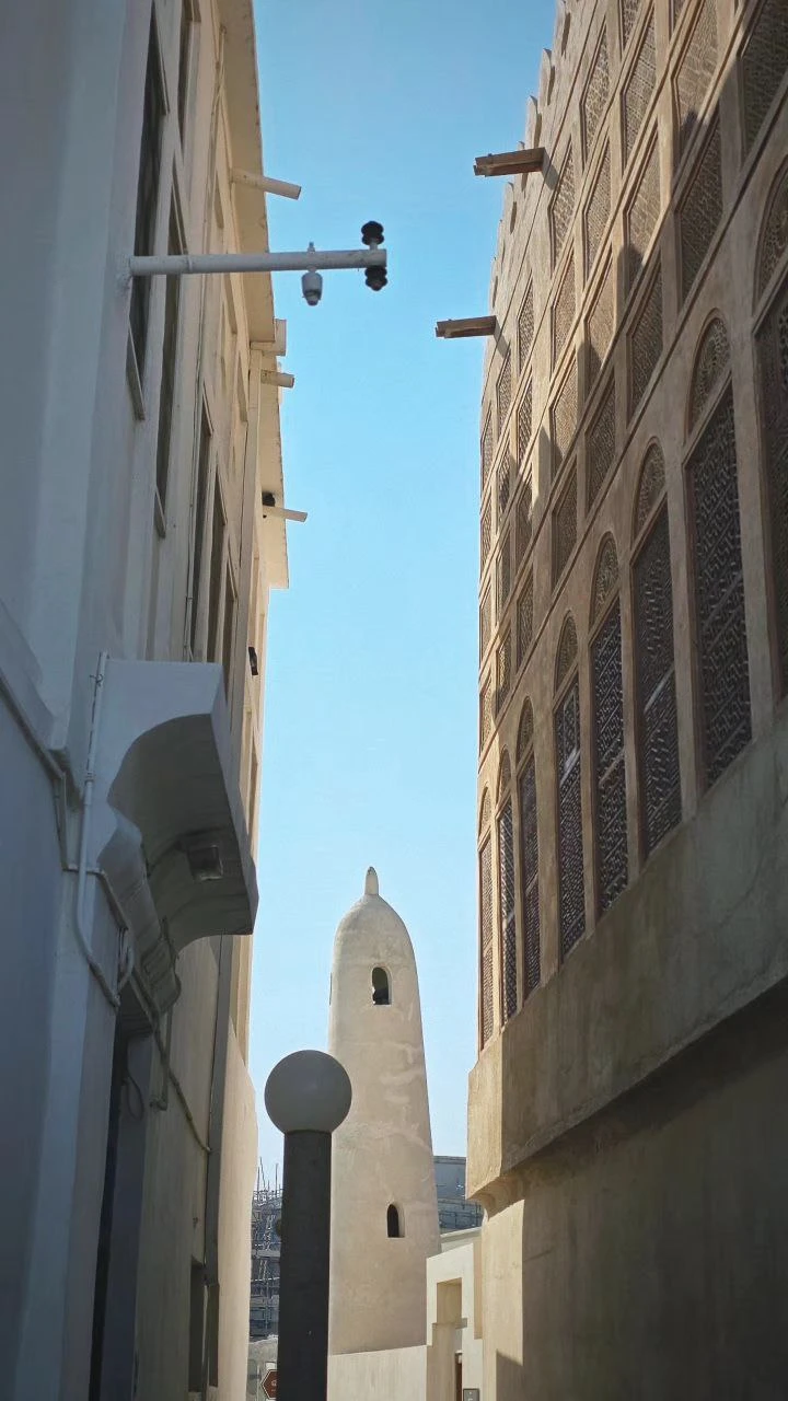 Брали индивидуальную экскурссию по Катару. Встретили на микроавтобусе с шампанским и фруктами. Все было интересно и