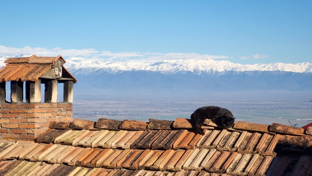Давид замечательно проводит экскурсии. Он отличный рассказчик, хороший водитель. Очень коммуникабельный и разносторонний человек. Предложит изменение