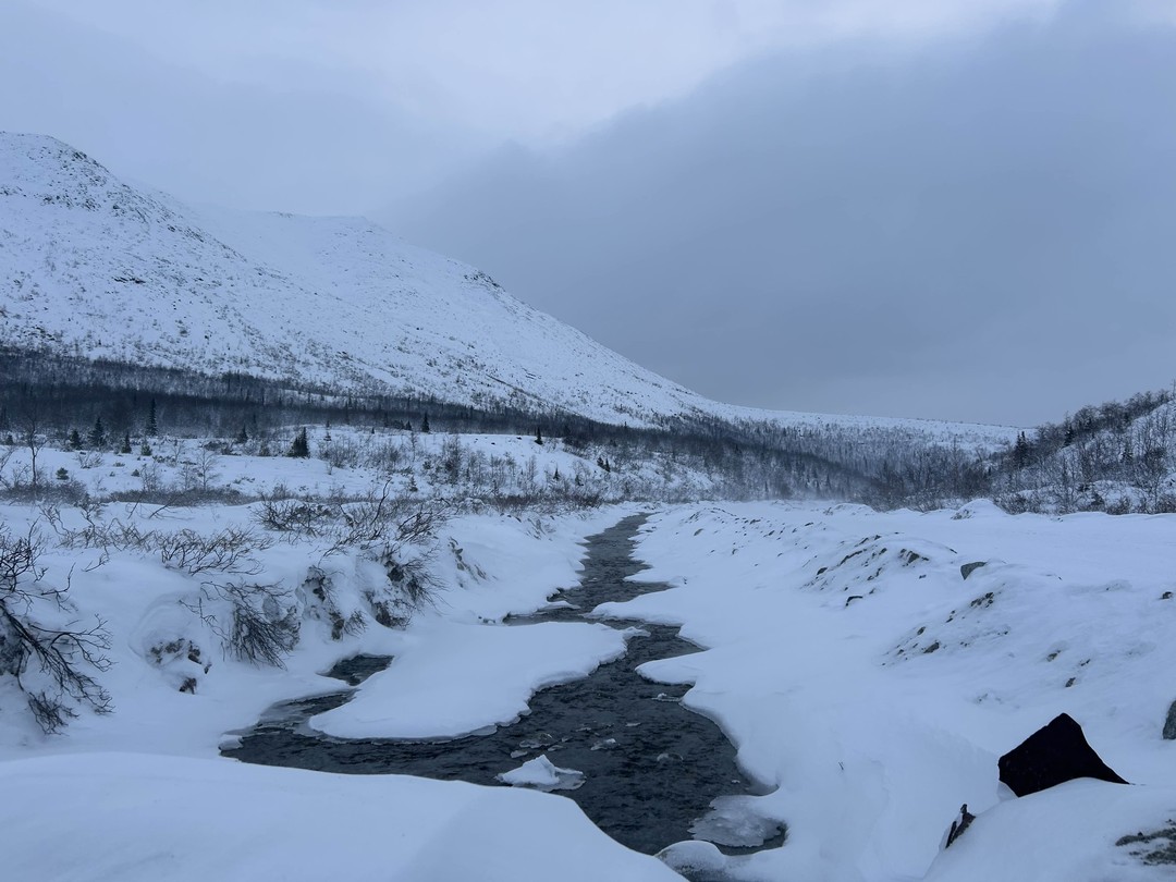 Были на экскурсии 25.11