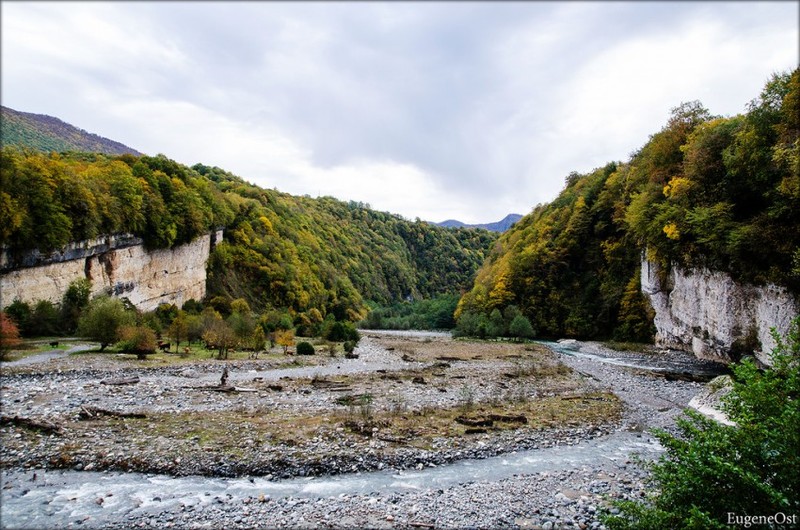 Дикая природа Абхазии