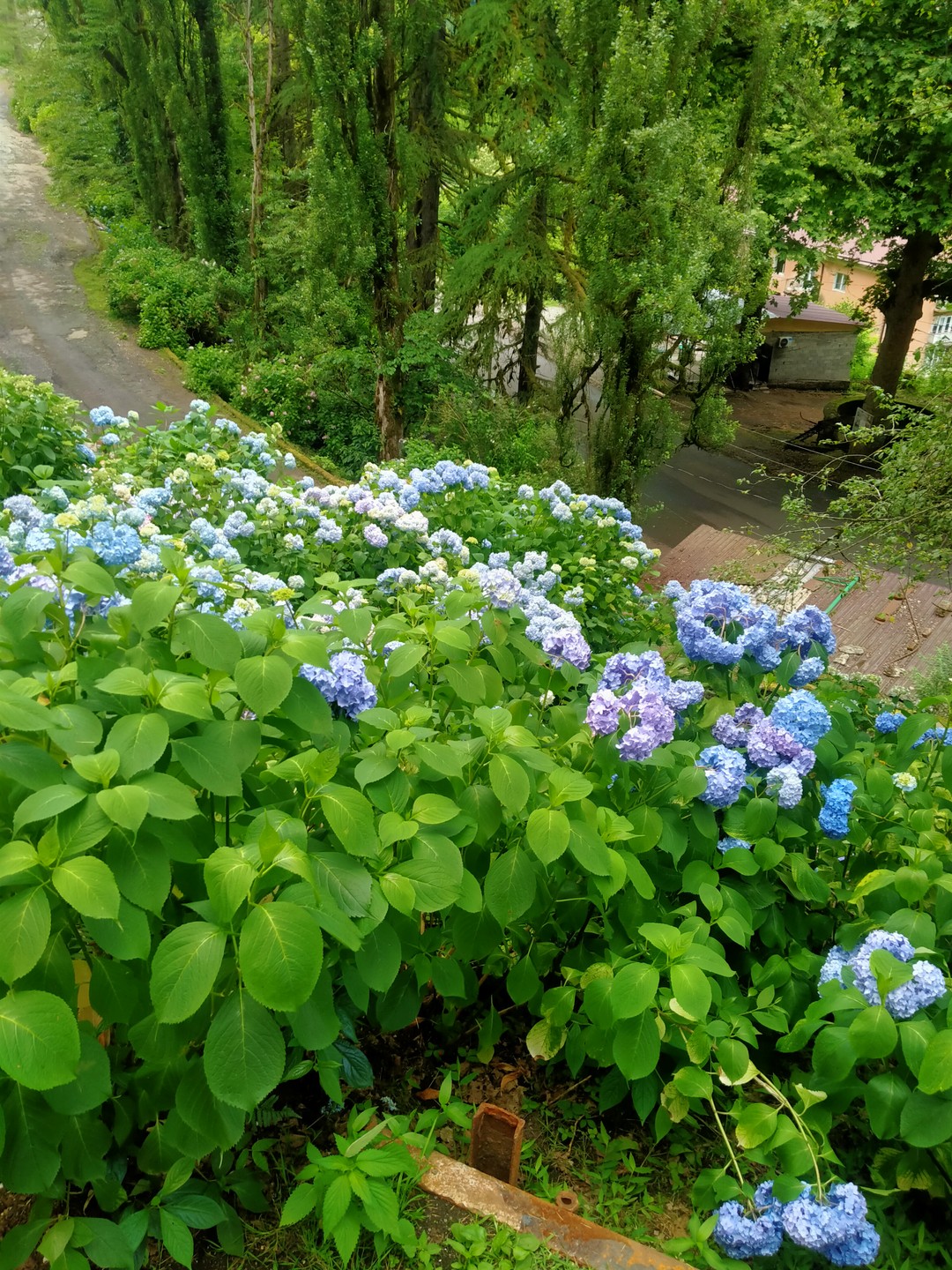 Несмотря на небольшой дождик(но это горы) все прошло отлично. Настроение немного портила Московская мадам которая без