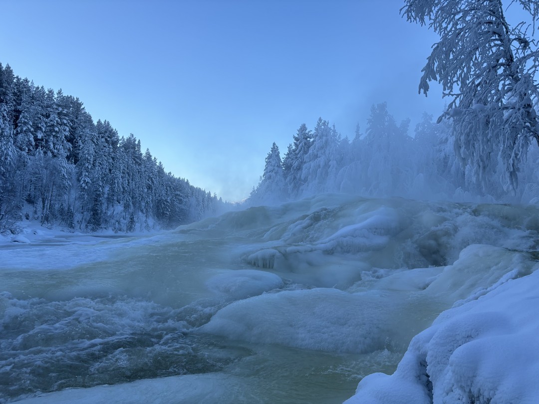 Зимняя природа Севера! После поездки и не знаю, что может быть прекраснее! Дмитрий был нашим гидом