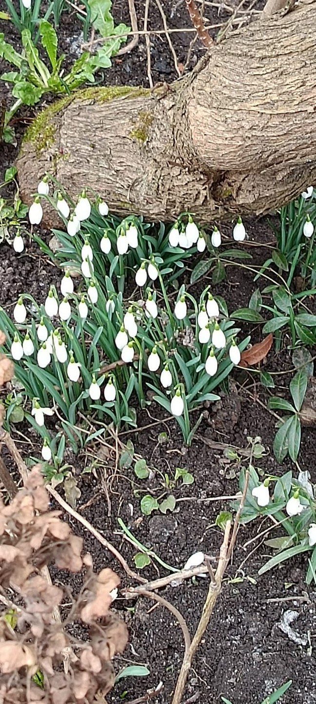 Романтическая прогулка по загадочному Калининграду (Елена)