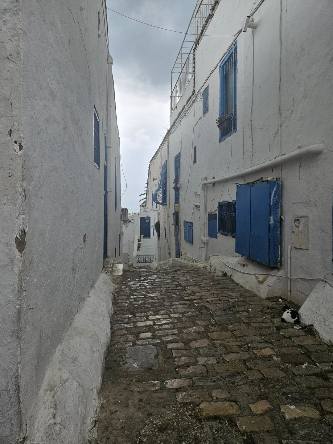 Смело ставлю оценку 5+! Всё прекрасно организовано, менеджер Алла всегда была оперативно на связи. Нас нужно