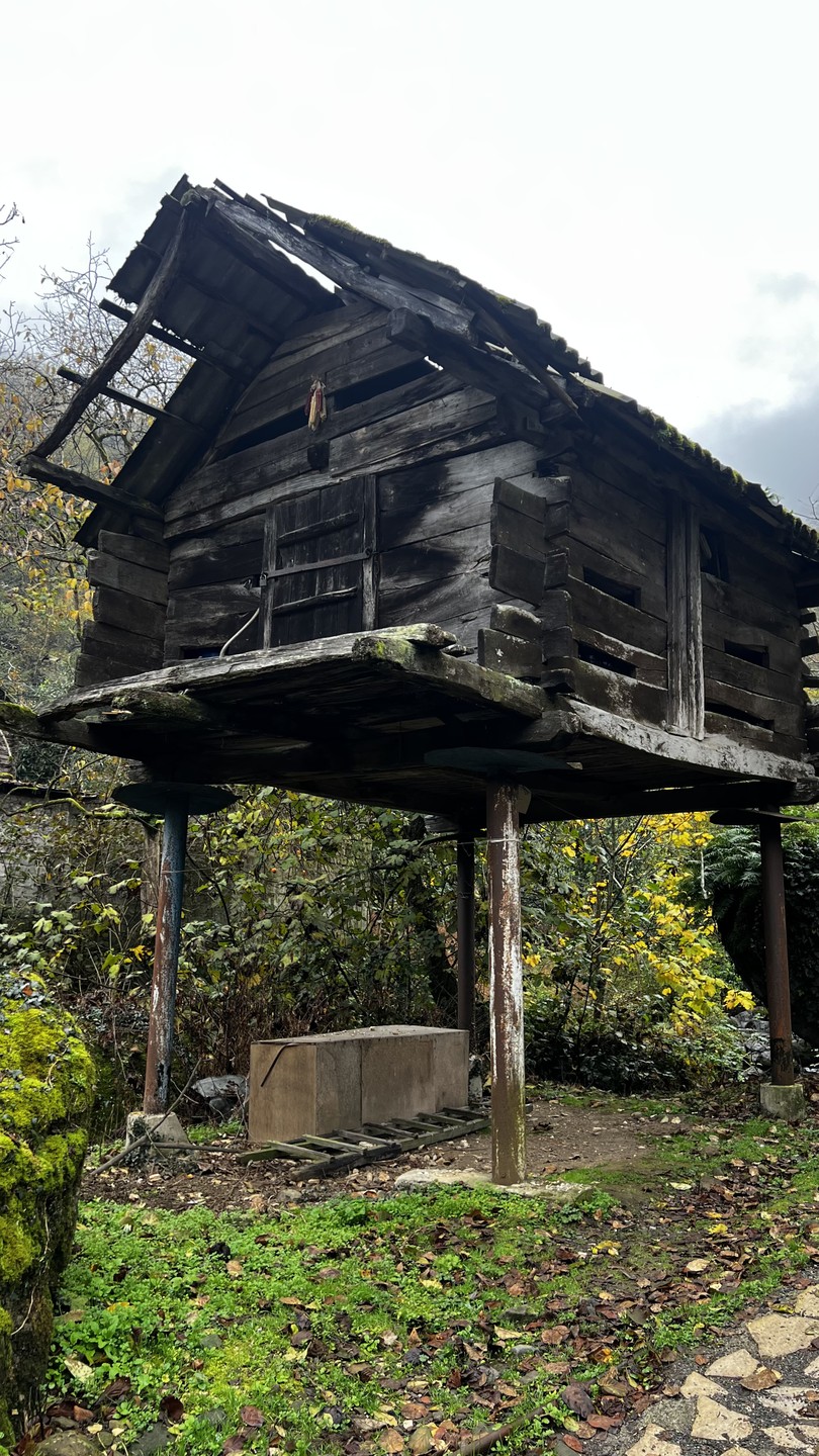 Большое спасибо Ириндию за невероятную экскурсию! Все прошло на высшем уровне! Очень красиво, интересно! Было очень