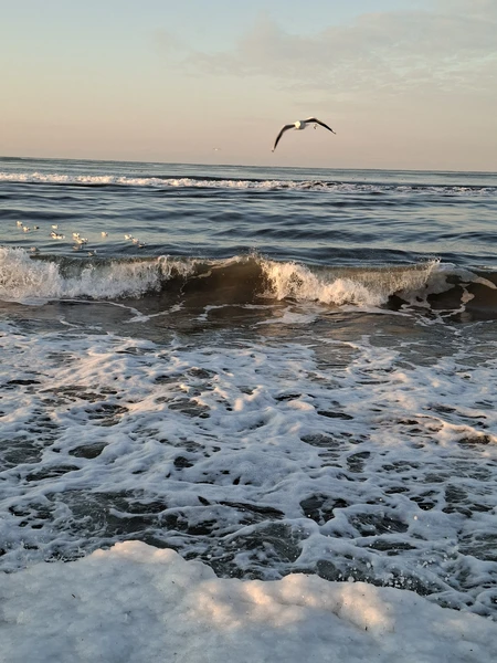 Отличная экскурсия с супергидом! Всё было объяснено максимально подробно и доступно. Узнала много интересного: от теории