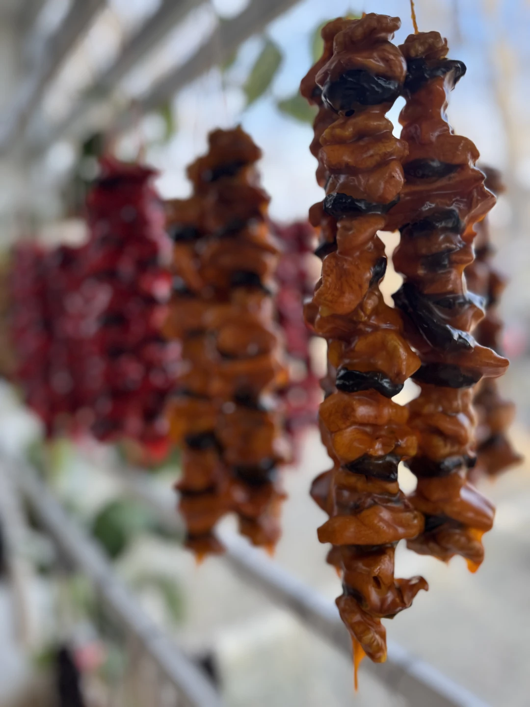 Кахетия: вино, легенды и красота (в группе) (Александр)