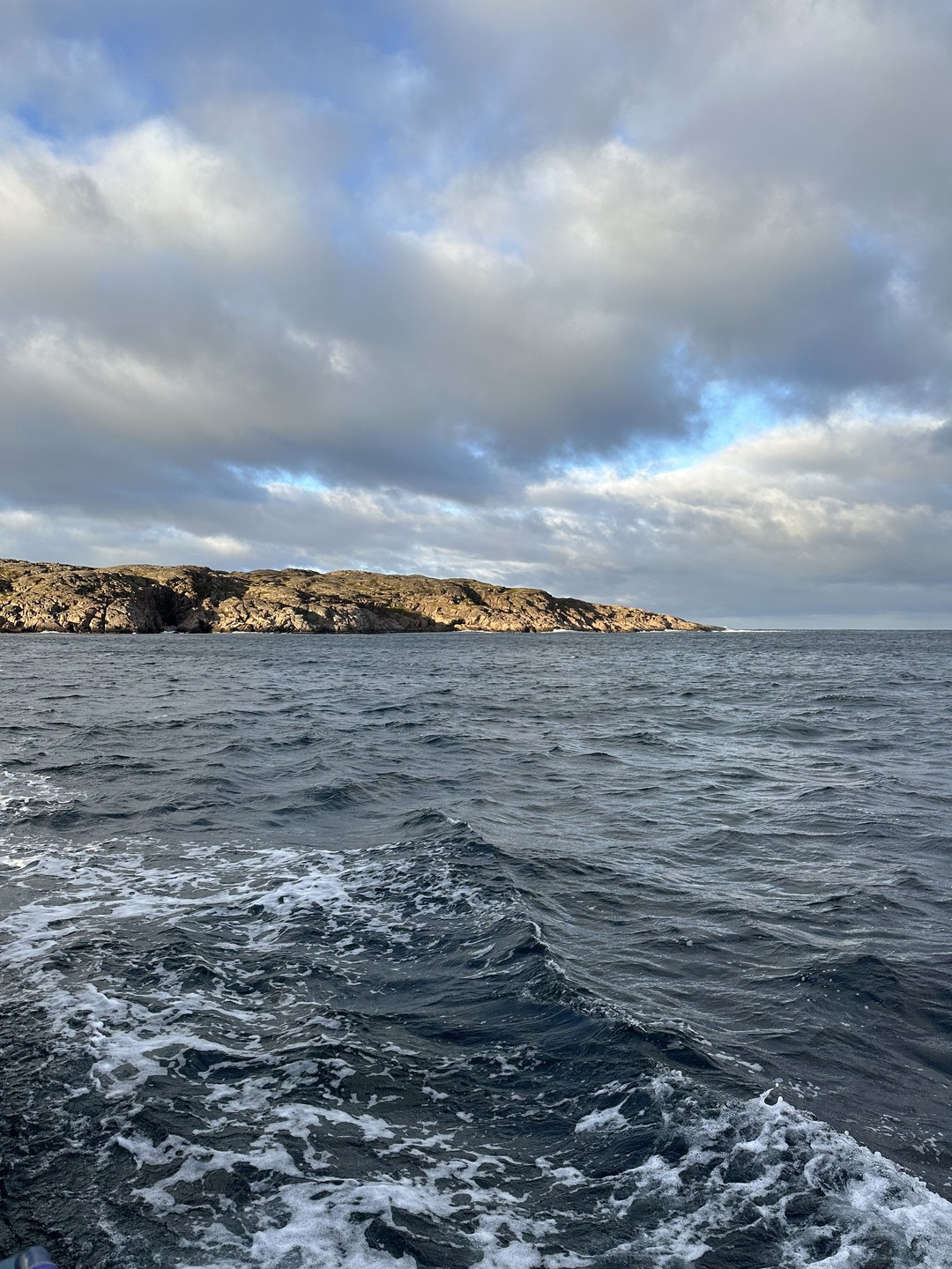 Морская прогулка из Териберки - в мини-группе (Виолетта)