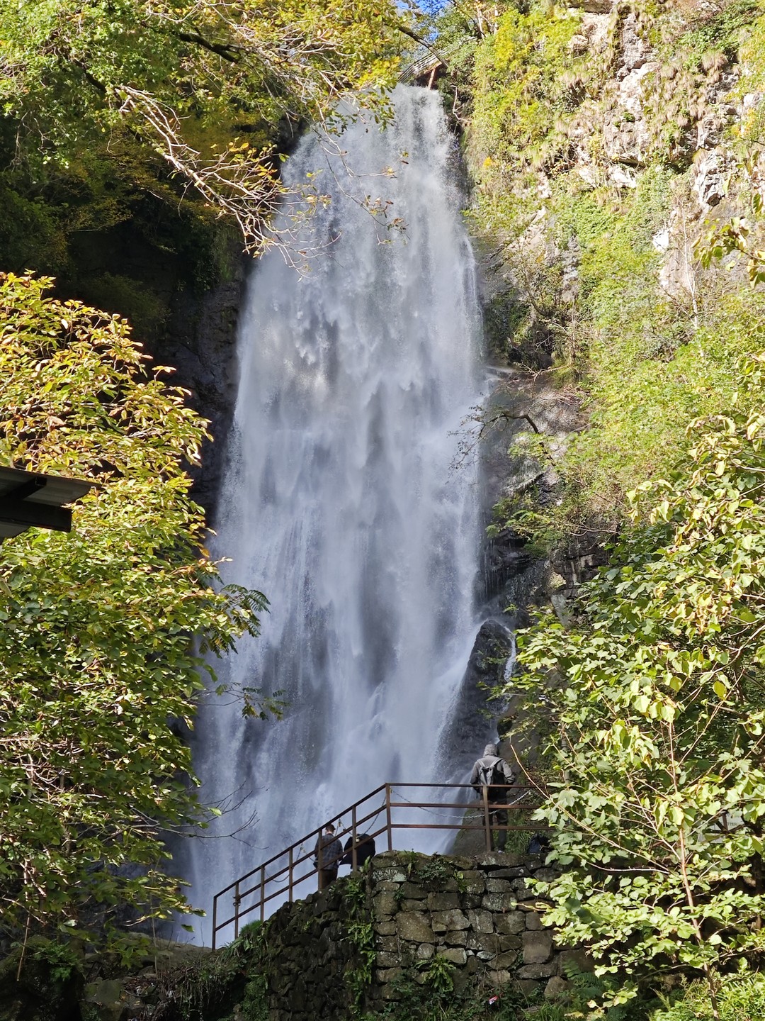 Были на данной экскурсии Горная Аджария в конце октября 2025г. Организатор Ириндий заранее вышел на связь