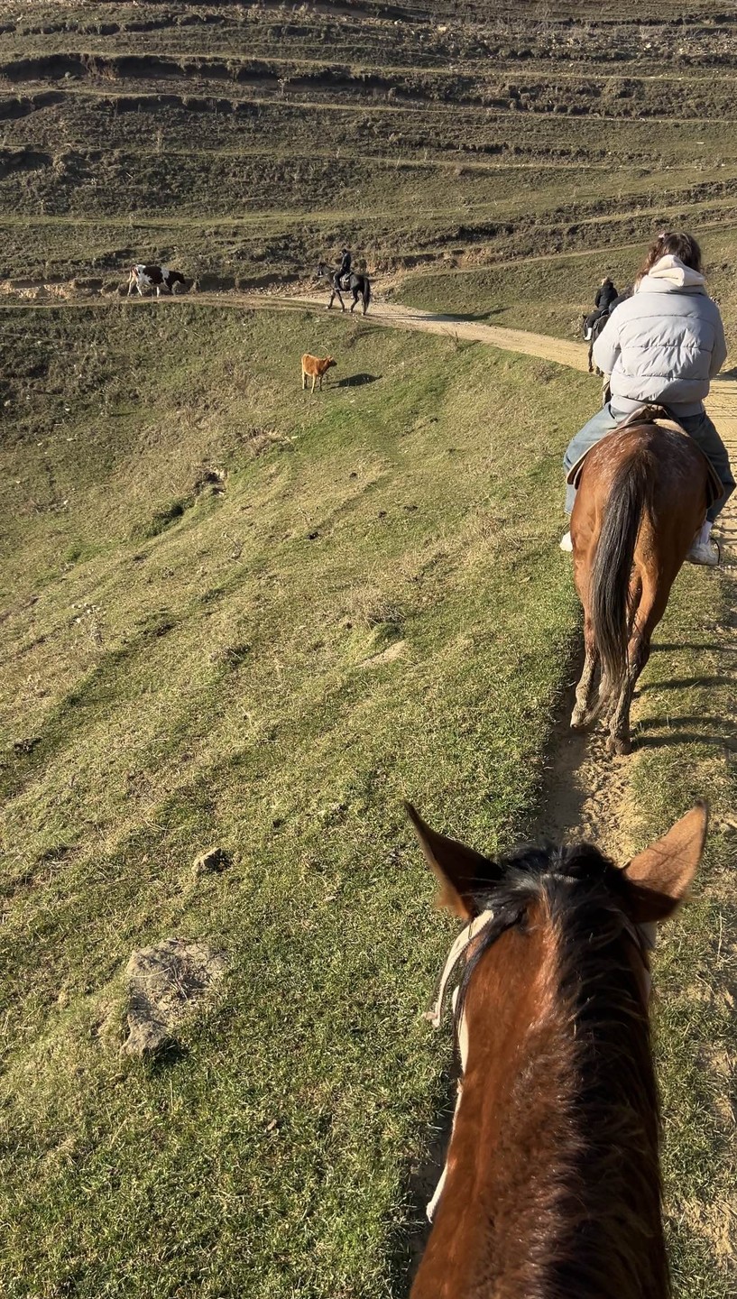 Это было очень очень круто! Я впервые каталась на лошади и ощущения просто невероятные
