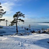 Фото отзыва 3: экскурсия "Целительное путешествие по глубинной Карелии"