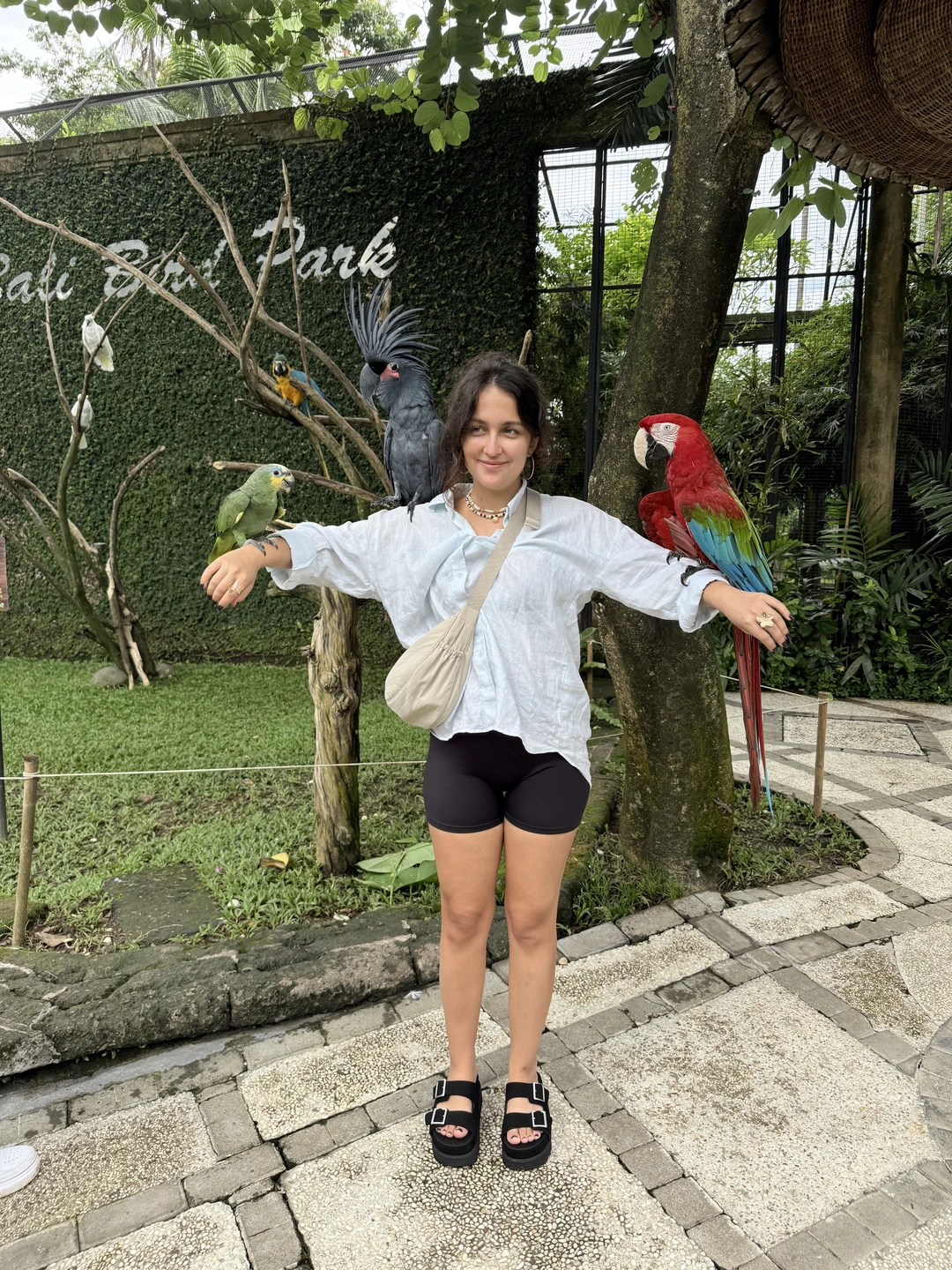 Все прошло отлично, очень хороший гид Густи, говорит по русски очень хорошо. Не торопил, давал возможность