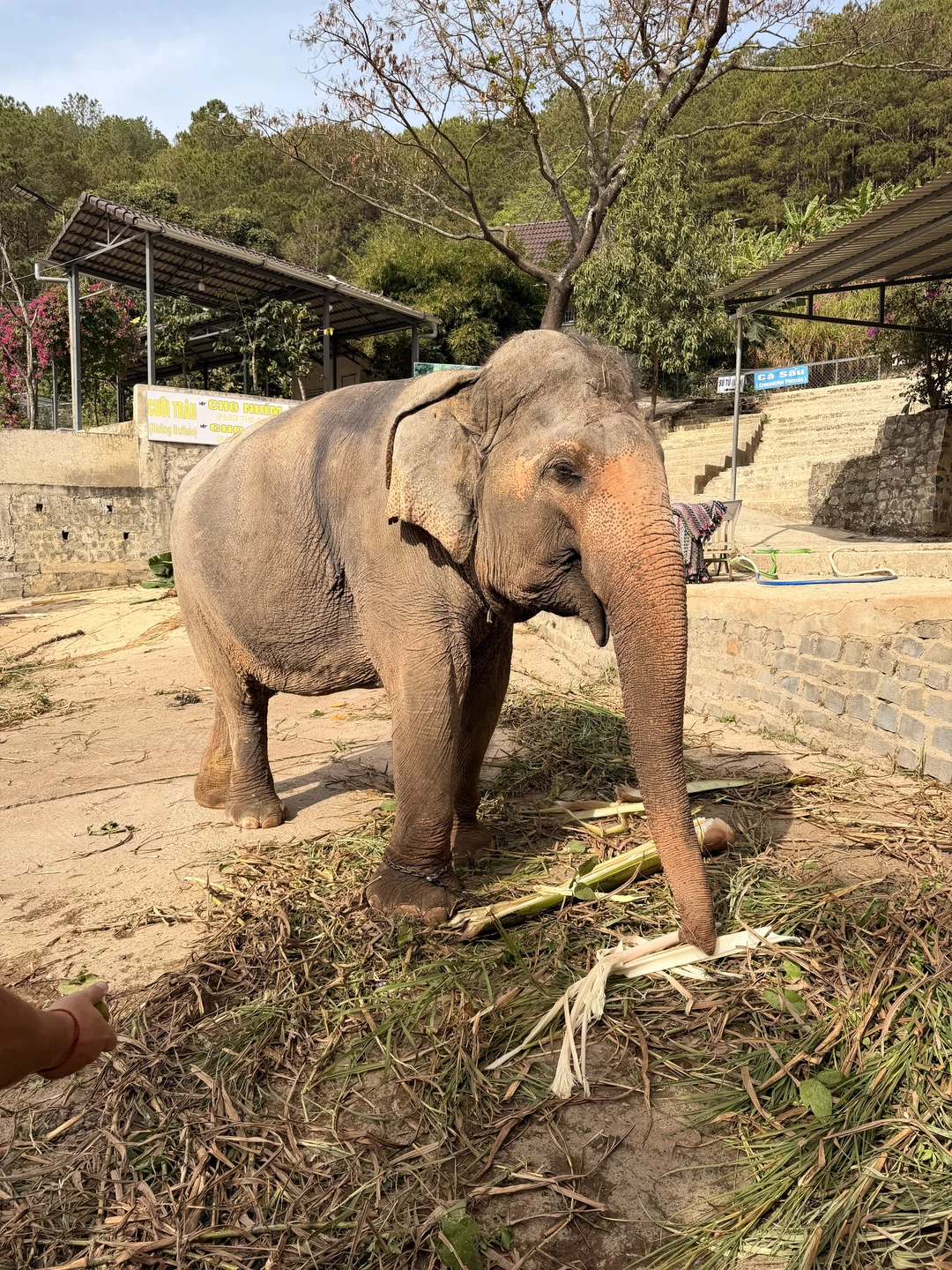 Хотим выразить огромную благодарность гиду Михаилу за замечательную экскурсию в Далат!