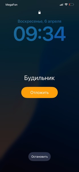 Индивидуальная Экскурсия с собакой с тарифами (Ислам)