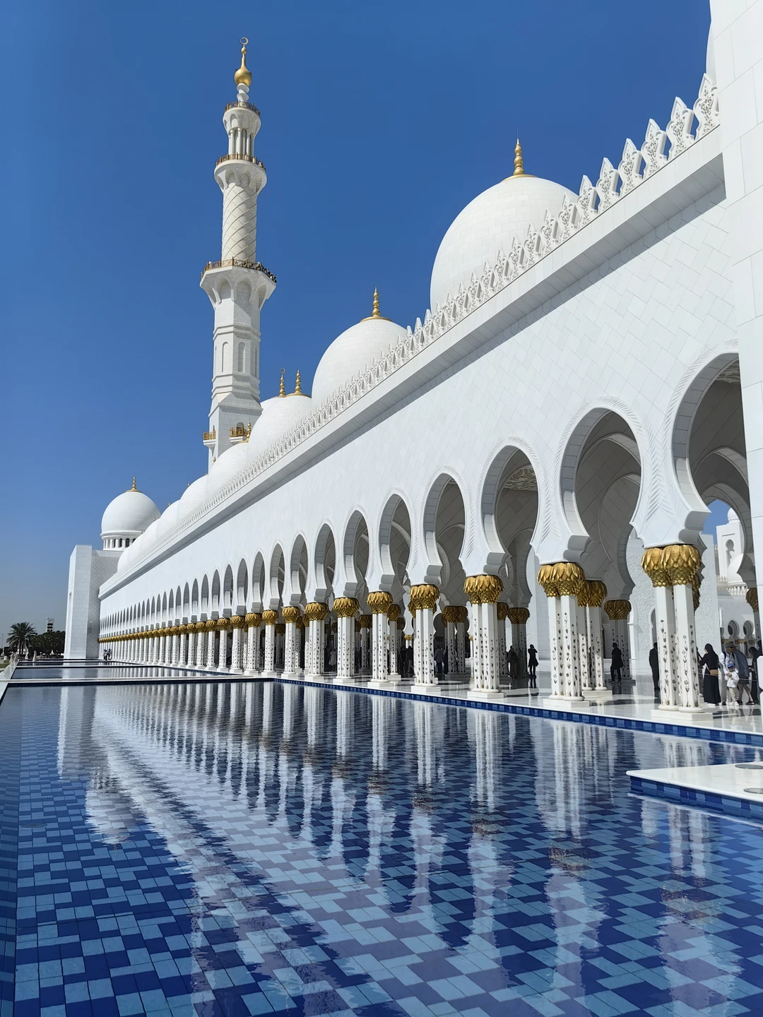 Сегодня посетили индивидуальную экскурсию в Абу-Даби, сопровождал Фируз. Отличная организация, идеальный транспорт, оперативная помощь с билетами