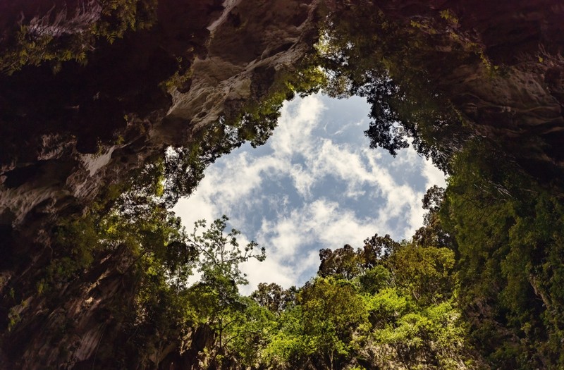 Сингапур и Малайзия: столицы, 3 острова, природа и наследие