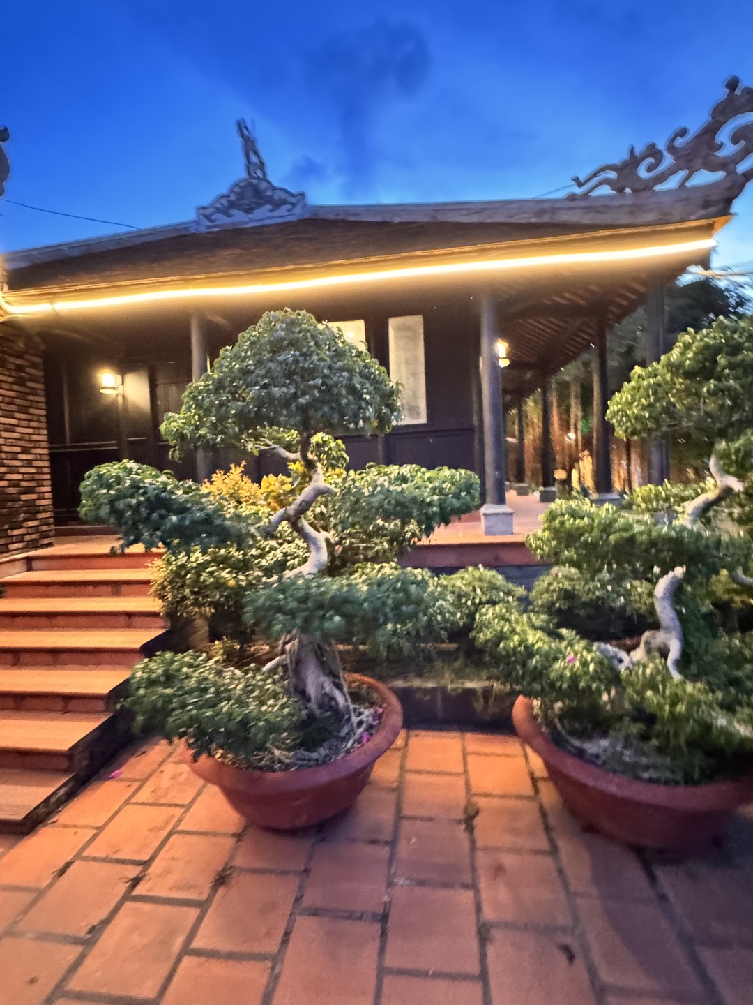 Авторская экскурсия по историческому Нячангу (Светлана)