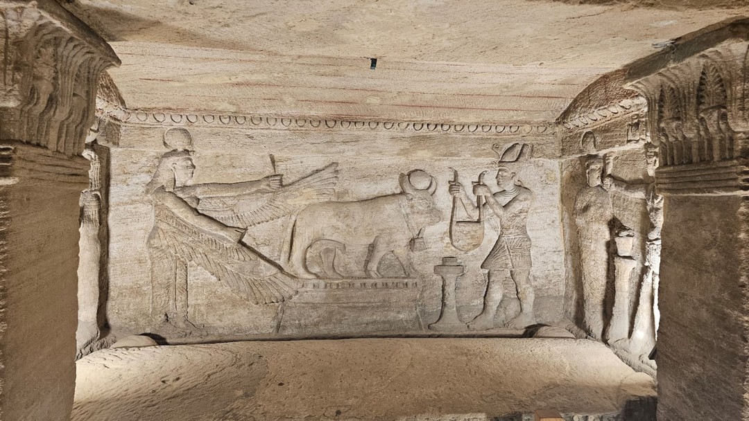 Спасибо большое гиду Хэлми за фантастическую экскурсию! Я была в восторге, узнав что в Египте есть