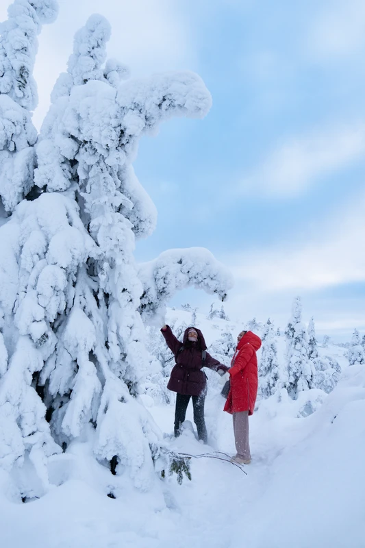 Зимняя сказка на один день: покорить сопку Волосяную в Кандалакше