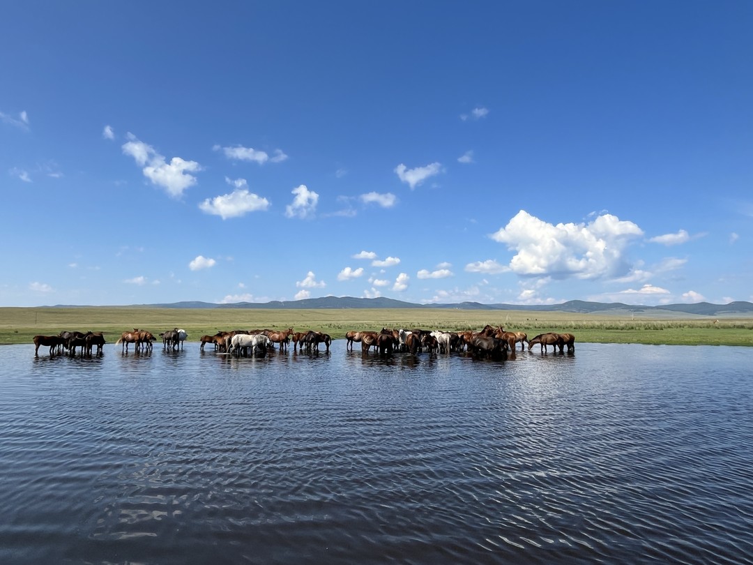 Из Улан-Удэ - к подножью горы Баян-Хонгор (Елена)