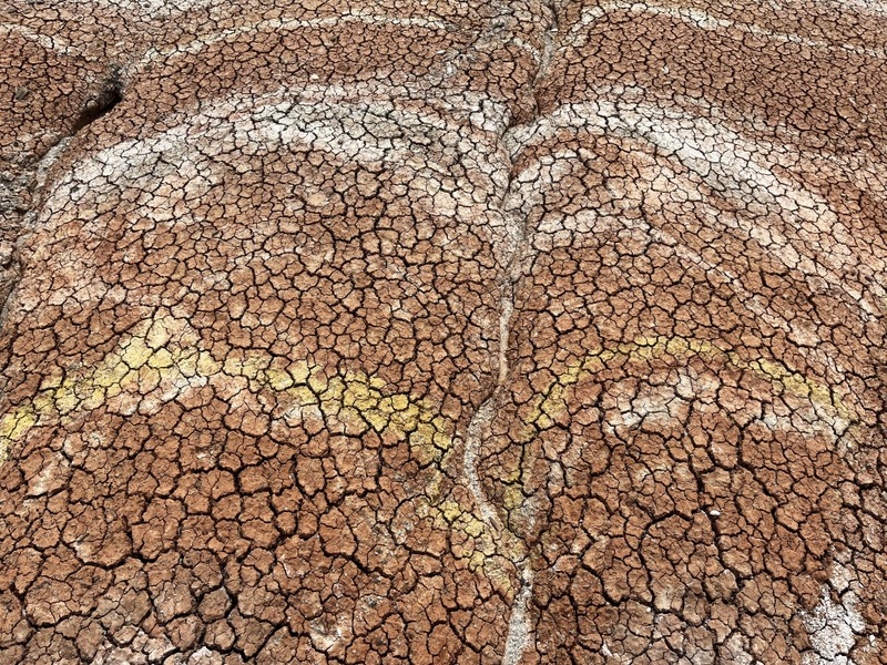 Огромное спасибо Туралу за великолепно проведенный день в окрестностях Баку. Спасибо за рассказ об уникальном розовом