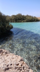 Фото отзыва 5: экскурсия ""