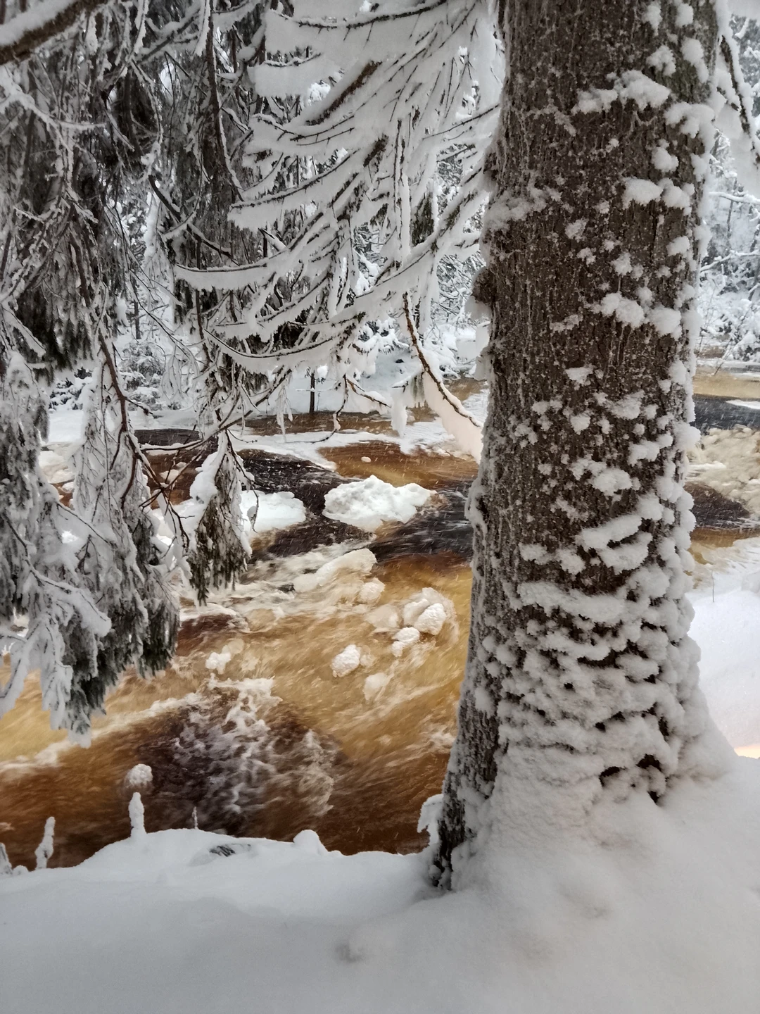 Всё хорошо 👍 Маршрут сложный и длительный! Карелия удивляет, но экспресс впечатлил больше всего!