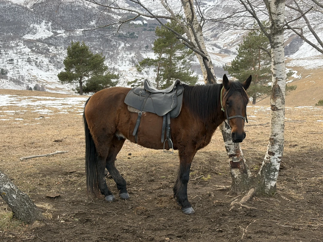 Всё прошло отлично! Виды невероятные