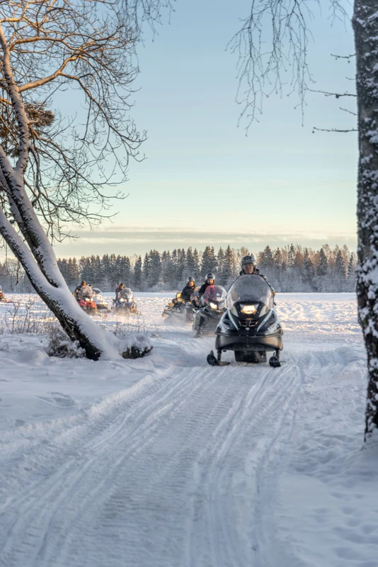 Прогулка на мощном снегоходе в Подмосковье