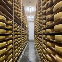 Фото отзыва 1: экскурсия "Винные реки, сырные берега"
