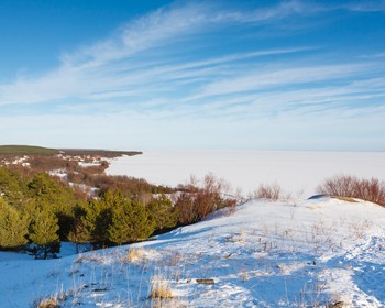 Куршская коса, «Танцующий лес» и променад в Зеленоградске