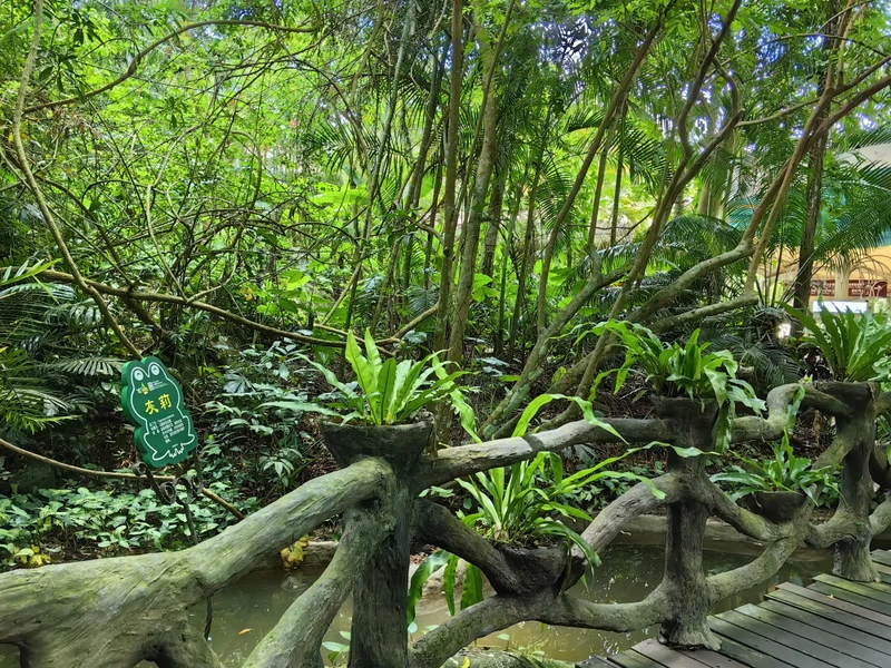 Тропический парк Янода: приключение в сердце джунглей