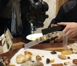Встреча, начало знакомства с Калининградом