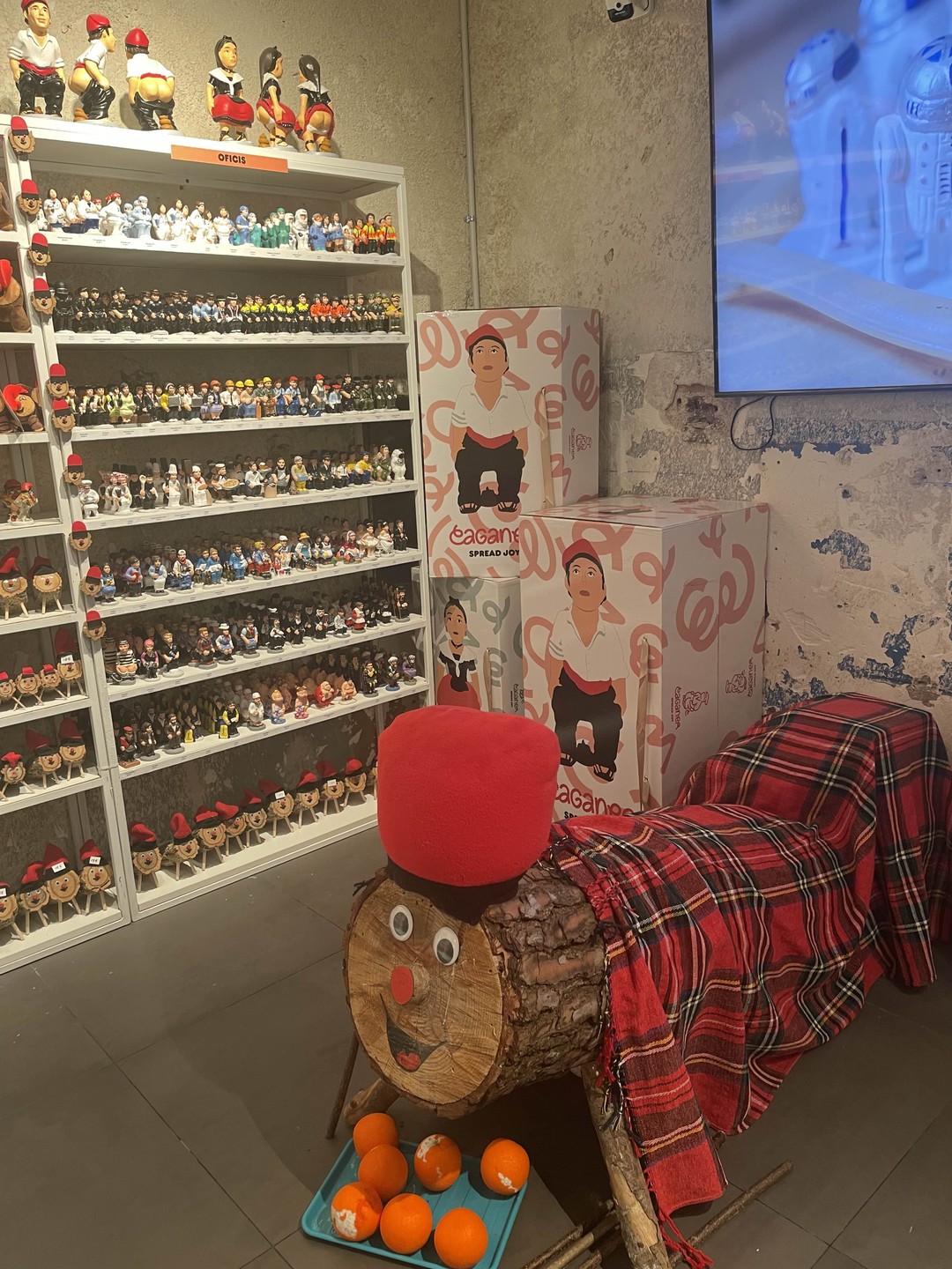 Прекрасная прогулка по Барселоне с местным жителем! Спасибо, Екатерина!