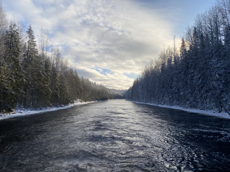 Очень красиво, вкусно и интересно! в первый день мы гуляли по Ладоге, местами снега было по