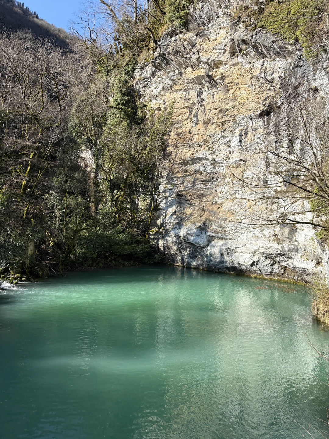 Индивидуальная экскурсия по солнечной Абхазии (софья)