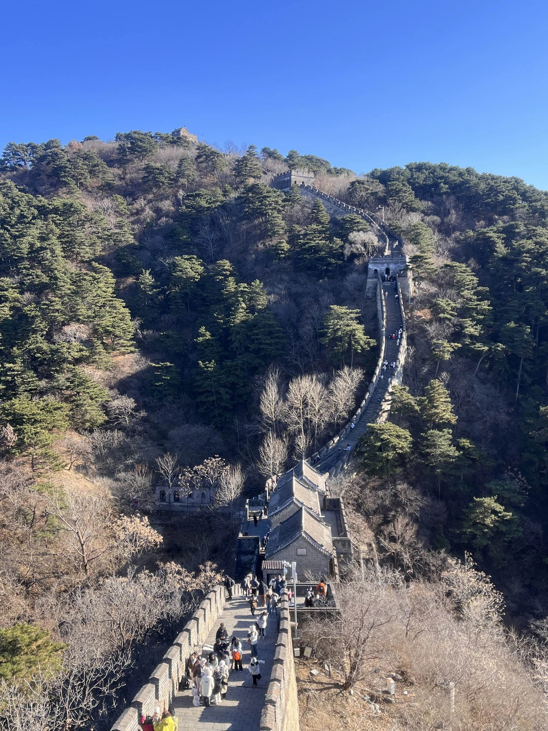 Если вы хотите экскурсию с интересным рассказом, комфортом и душевностью, вам к Евгению! Забрали из отеля