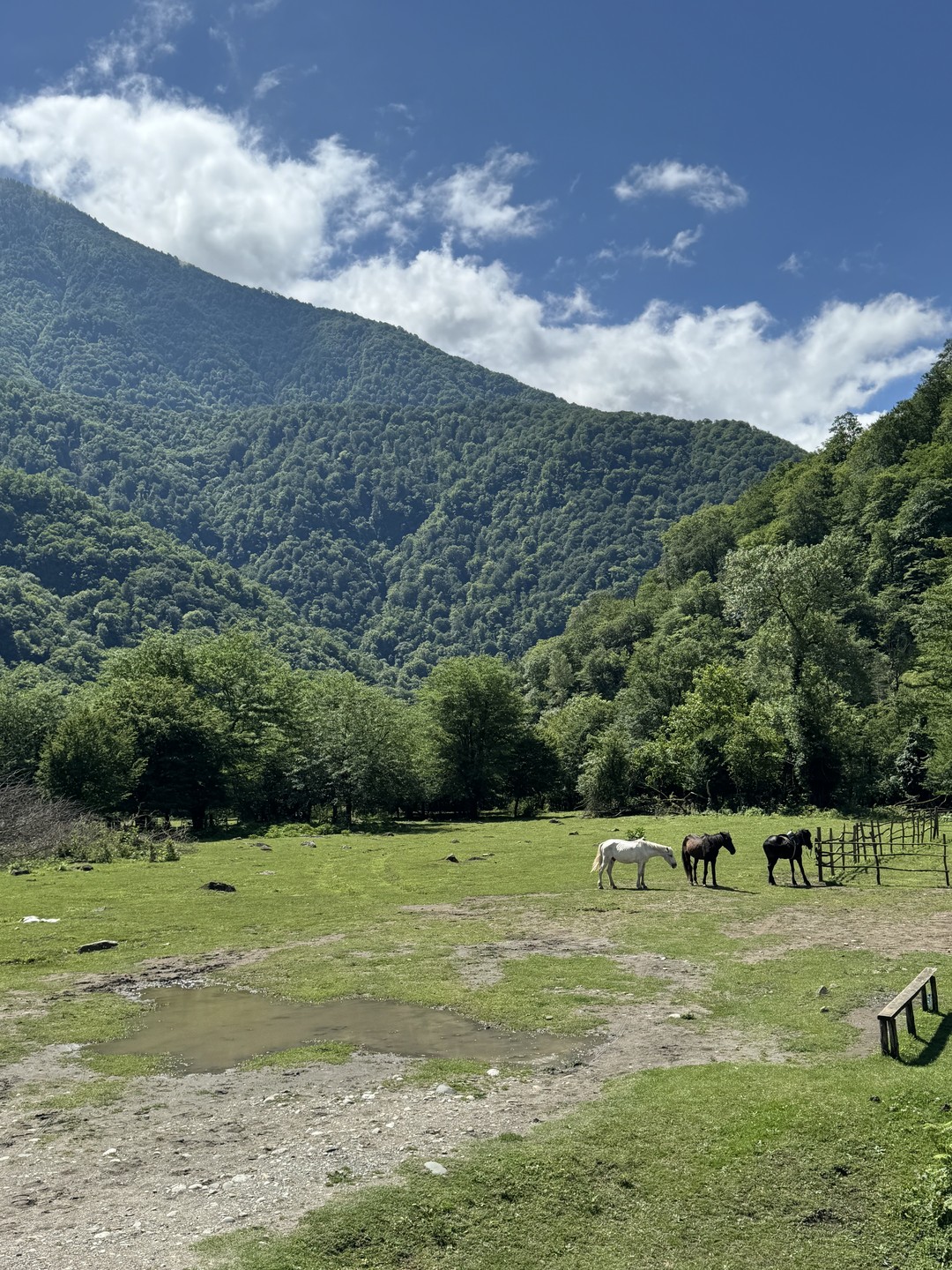 Шикарное знакомство с Абхазией!! У нас был гид Алхас, который безумно любит свою родину и знает