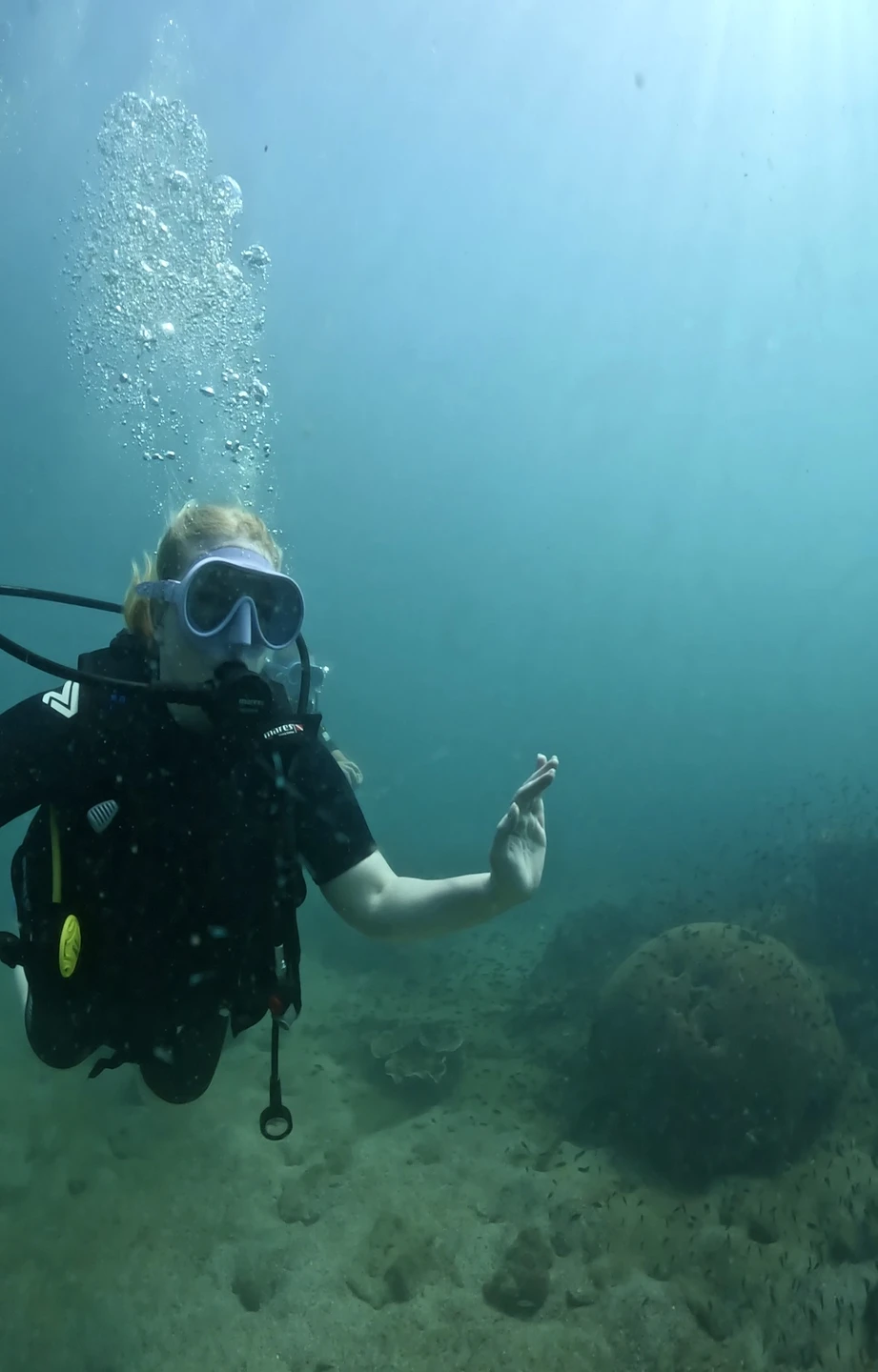 Это вау по всем показателям: и красота подводного мира, и преодоление своих страхов, и общение с очень увлечённым заряженным человеком!