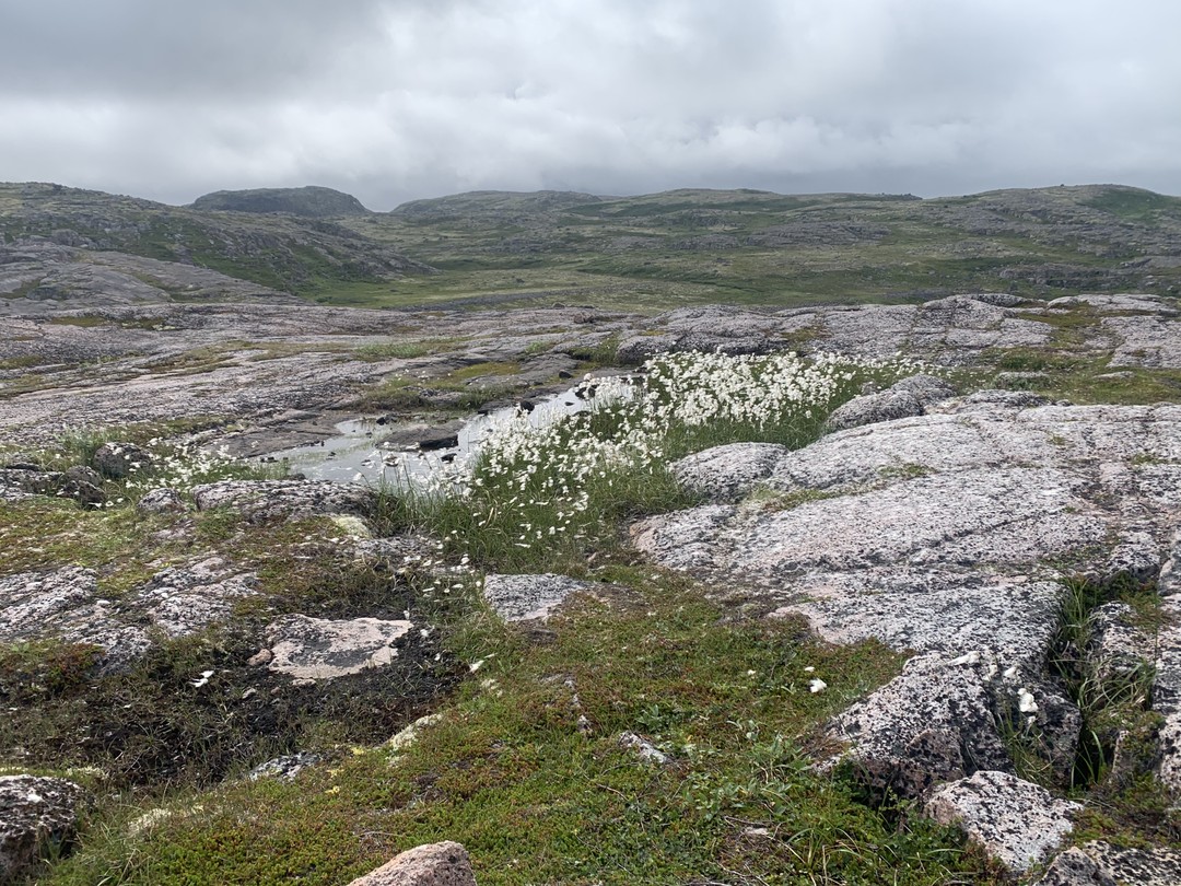 Нашу экскурсию проводил Юрий, очень интересный и приятный человек. Путешествие нам очень понравилось, но я бы