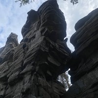 reviews img